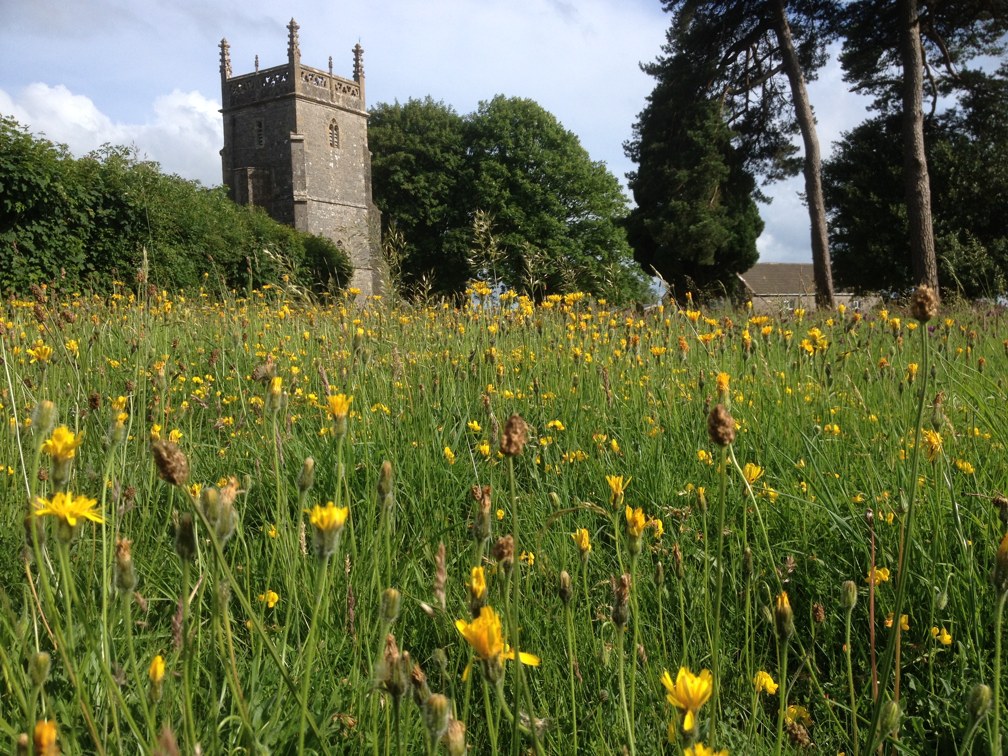 Wilder Churches’  Online Workshop
